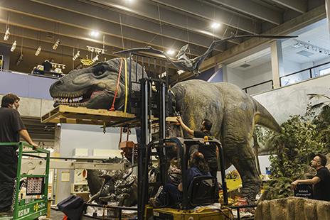A team repairs the head of the Science Center's T. rex, reattaching the head using a large pallet.